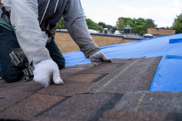 Best Roof Repair Services  in Redwood, OR